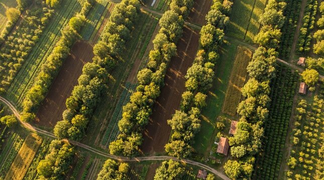 Farming For All